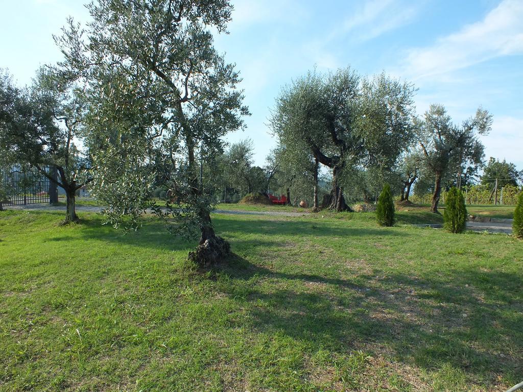 לסטרה א סיניה Agriturismo Ai Mandrioli מראה חיצוני תמונה
